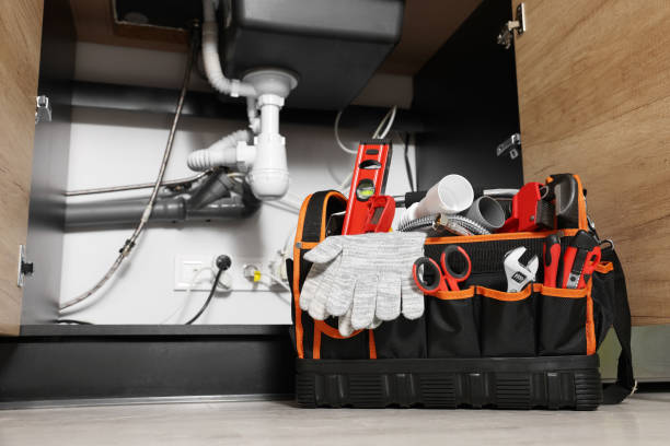 Best Clogged Drain Plumber  in Conroe, TX